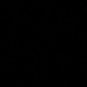 Meet your Posher, Maddi